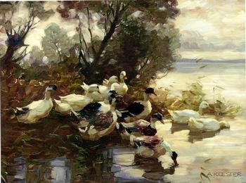 unknow artist Ducks 095 china oil painting image